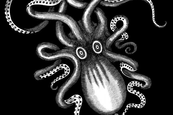 Как найти kraken